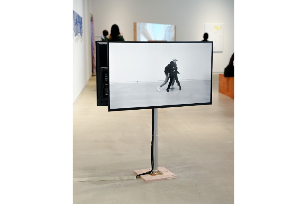 小山友也　制圧する看視員/されるアーティスト　作品画像